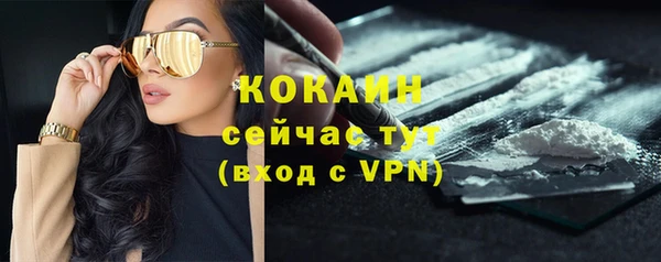 МДПВ Лагань
